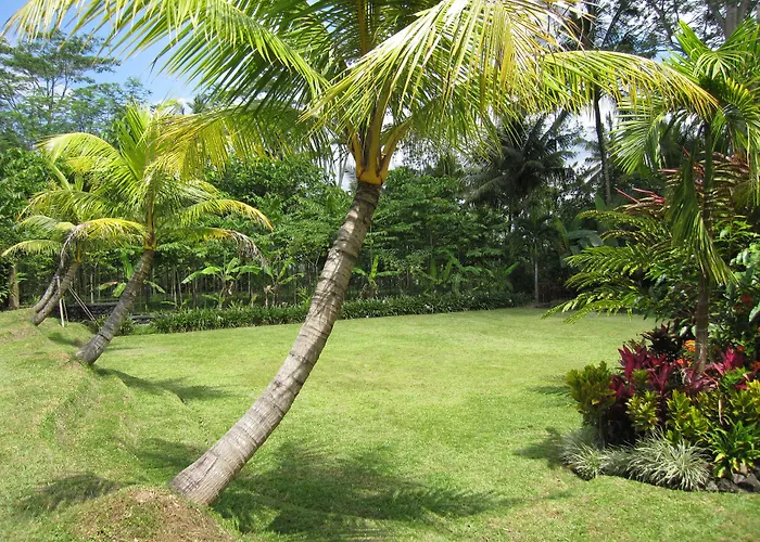 Jendela Di Bali Tegallalang (Bali)